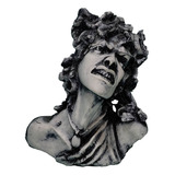 Figura De Resina Busto De Medusa #122