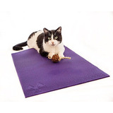Cat Esterilla De Yoga Con Gato Juguete. Cat Scratcher, Cama,
