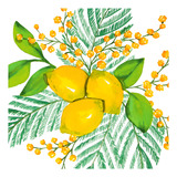 20 Guardanapos Para Decoupage Ambiente Lemon & Mimosa