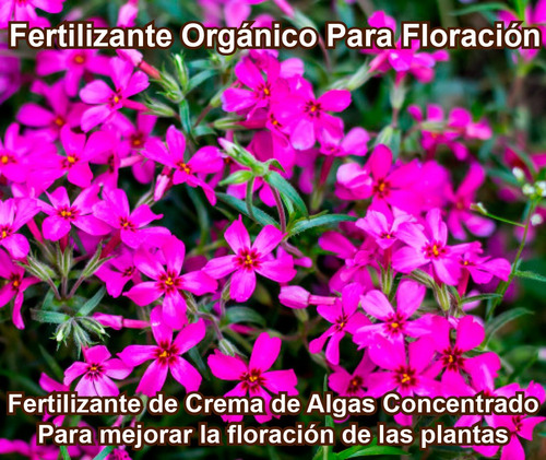 Fertilizante Para Floración Concentrado 10 Ml (rinde 8 L)