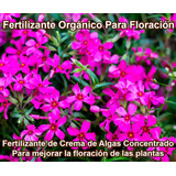 Fertilizante Para Floración Concentrado 15 Ml (rinde 12 L)