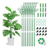 Poste De Soporte Para Plantas Monstera-70cm Juego De 8piezas