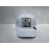 Gorra Goorin Bros Tigre De Bengala Viva Las Vegas Blanca