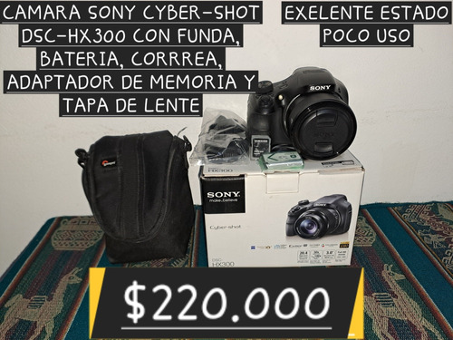 Camara Sony Cyber-shot Dsc-hx300