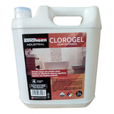 Cloro Gel Industrial St 5 Lts.