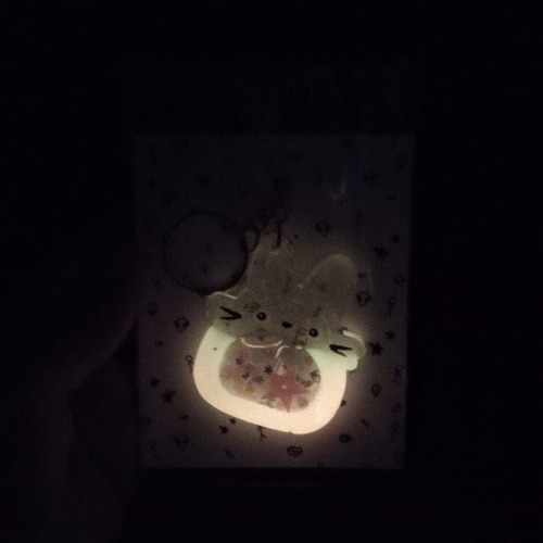 Llavero  Shaker Resina  Totoro Brilla En La Oscuridad