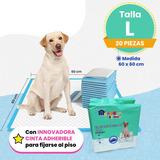 Tapete Entrenador Perro Absorbente Mascota 60 X 60 Cm