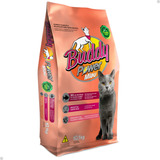 Alimento Buddy Power Standard Buddy Power Miau Para Gato Adulto Sabor Peixe Em Saco De 10kg