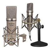 Microfono Condensador Boytone Bt74sm Estudio Grabacion 