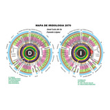 Usb Curso De Iridología 