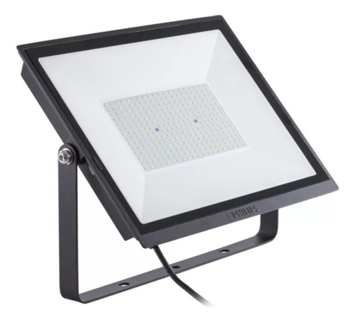Reflector Proyector Philips Miniflood Led 20w Luz Fria