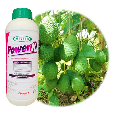 Foliar Para Mejorar La Calidad, Tamaño Y Sabor De Frutos 1l | Envío gratis