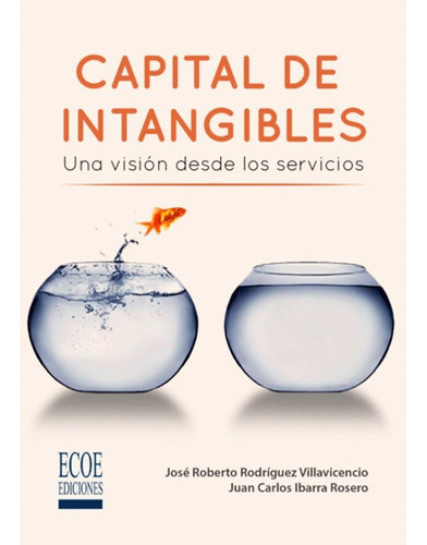 Capital De Intangibles. Una Visión Desde Los Servicios