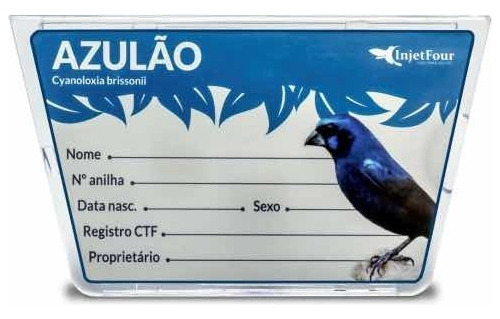 Kit Com 6 Placas De Identificação Luxo Azulao - 527 Az