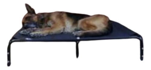 Catre Xl 90cmx100cm (mascotas Pesadas ) 