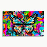 Placa Quadro Decorativo Borboleta Colorida Graffiti