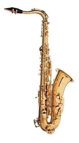 Saxo Tenor Stagg Bb High F# + Estuche Wsts215s 