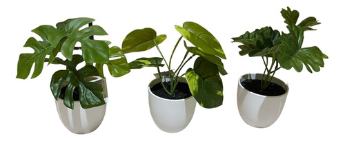 Set De 3 Mini Plantas Artificiales - 15 Cm