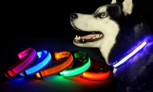 Collar Reflectivo Perro Mascotas Luz Led 3 Efectos