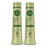  Kit Shampoo Condicionador 500ml Haskell Jaborandi