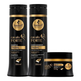 Kit Haskell Cavalo Forte Shamp+cond+masc 300ml + Brinde