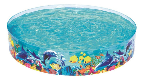 Piscina Niños Grande Acuario Rigida 244x 46cm Bestway