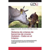 Sistema De Crianza De Becerros De Cruces Holstein - Cebu ...