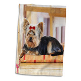 3d Rosa Yorkie. Yorkshire Terrier. Lindo Cachorro Con Lazo R