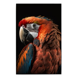 Cuadro De Colección Aves Hermosas Guacamaya Bandera # 7 Ch