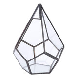 Terrario Geométrico Irregular Cristal Poliedro Para Decoraci