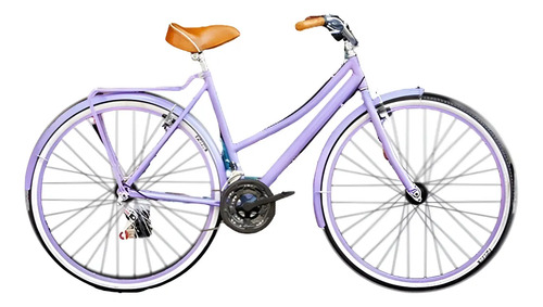 Bicicleta Vintage Urbana Lavanda Personalizada Y Accesorios