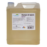 Shampoo Limpia Tapices Autos 5 Litros