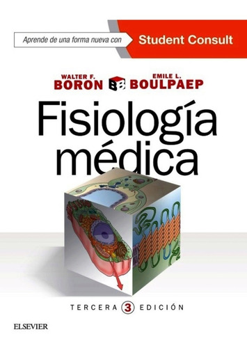 Boron / Fisiología Médica / Original