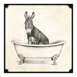 #471 - Cuadro Vintage 30 X 30 - Burro Baño Poster Retro