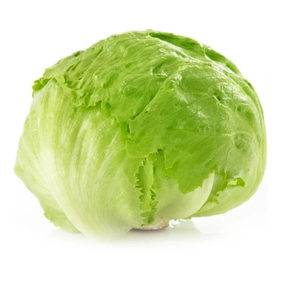 10 Gramos De Semillas De Lechuga Romana Great Lakes 407 | Envío gratis