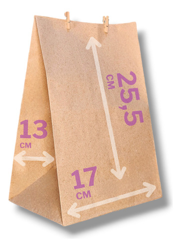 Bolsa Papel Madera Kraft Delivery 16x24,5x08 X100u N2