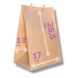 Bolsa Papel Madera Kraft Delivery 16x24,5x08 X100u N2