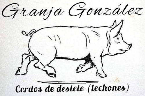 Cerdos Destete (lechones Finos Engorda)