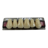 Dentes Resina Avulsos Placa. Postiços 266 Superior 