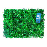 Muro Verde Follaje Artificial Sintético 120 Pzs