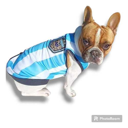 Camiseta De Argentina 3 Estrellas Para Mascotas Talle M