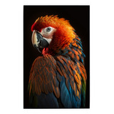 Cuadro De Colección Aves Hermosas Guacamaya Bandera # 6 Ch