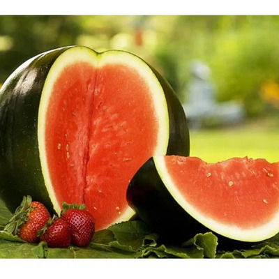 100 Semillas De Sandia Var. Sugar Baby - Citrullus Lanatus | MercadoLibre
