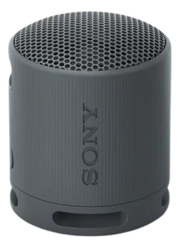 Sony Srs-xb100 Altavoz De Viaje Inalámbrico Bluetooth 