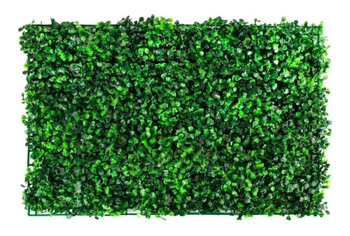 Follaje Artificial Muro Verde Jardin Plantas 60x40 Tupido