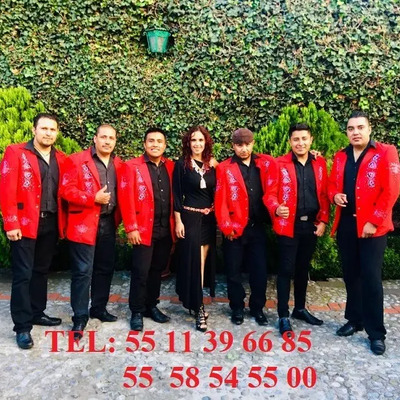 Grupo Musical Versatil O Norteño Los Yannis De Linares