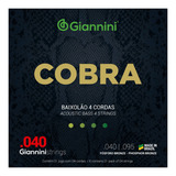 Encordoamento Cobra Giannini Para Baixolão 4 Cordas Geebalf