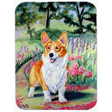 Carolines Treasures Corgi Springtime En El Jardin Glass Cutt