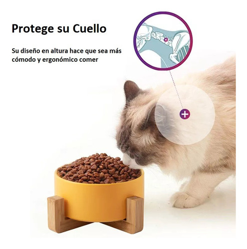 Plato Comedero De Ceramica Para Mascotas Xl - Perros Y Gatos Color Amarillo