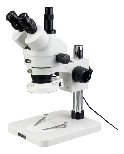 Amscope Sm-1tsz-144s Microscopio Trinocular Profesional Con